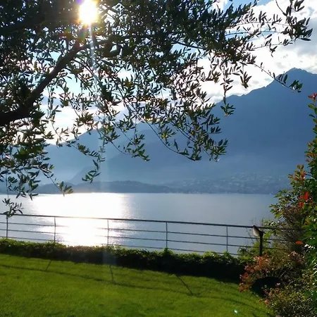 Il Giardino Di Lory *